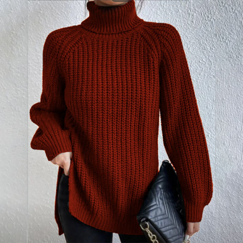 Pull Col Roulé Douillet