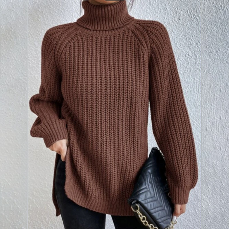 Pull Col Roulé Douillet