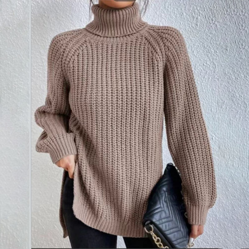 Pull Col Roulé Douillet